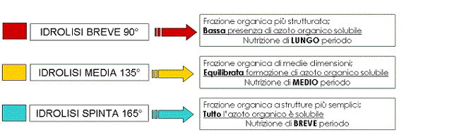 Tabella-processo-idrotermic